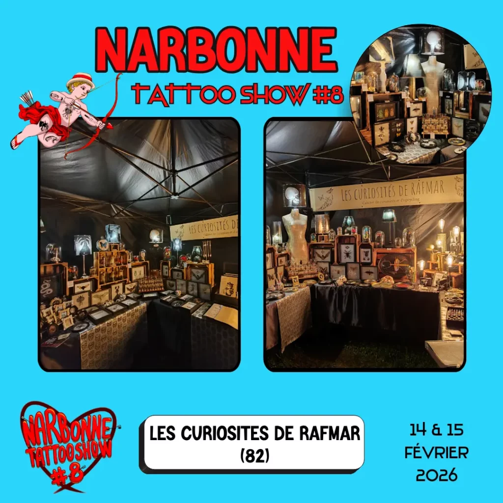 LES CURIOSITES DE RAFMAR